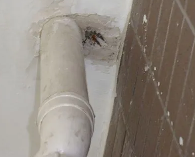 木垒哈萨克漏水检测哪家好